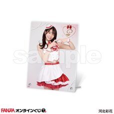 株式会社デジタルコマースのプレスリリース画像2