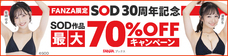 株式会社デジタルコマースのプレスリリース画像8