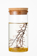 株式会社アイティプラスのプレスリリース画像9