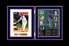 株式会社インターナショナルスポーツマーケティングのプレスリリース画像4