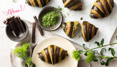 株式会社スタイルブレッドのプレスリリース画像1