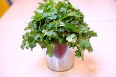 株式会社カオカオカオのプレスリリース画像5