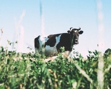 フォックスマーク・リテール・サービス株式会社のプレスリリース画像3