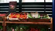 earthgrace株式会社のプレスリリース画像3