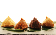 earthgrace株式会社のプレスリリース画像5