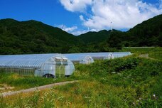 earthgrace株式会社のプレスリリース画像3