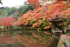 海の京都DMOのプレスリリース画像6