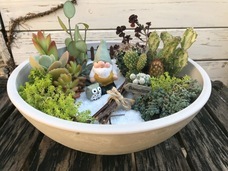 株式会社モントルロロイのプレスリリース画像1