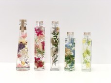 ラオックス株式会社のプレスリリース画像4