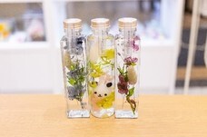 ラオックス株式会社のプレスリリース画像5