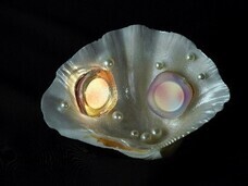 ラオックス株式会社のプレスリリース画像7