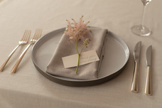 株式会社ワールドサービスのプレスリリース画像1