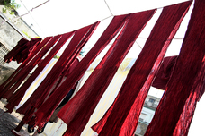 合同会社 Akushuのプレスリリース画像5