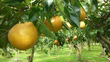 渡部有未菜のプレスリリース画像4