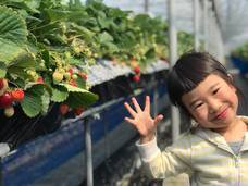 楽農ファームたけしたのプレスリリース