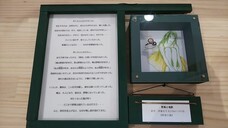 ギャラリーIYN(アートアンドセレクション）のプレスリリース画像2