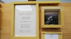 ギャラリーIYN(アートアンドセレクション）のプレスリリース画像5