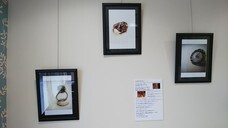 ギャラリーIYN(アートアンドセレクション）のプレスリリース画像6