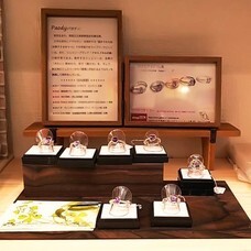 ギャラリーIYN(アートアンドセレクション）のプレスリリース画像8