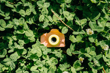 myFirst Japan株式会社のプレスリリース画像10