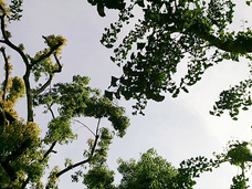 myFirst Japan株式会社のプレスリリース画像8