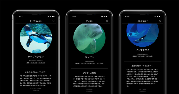 かざすai図鑑アプリ Linne Lens 無料体験キャンペーン開始 サンシャイン水族館 鳥羽水族館 海遊館と提携し 本日から順次11月末まで Linne株式会社のプレスリリース