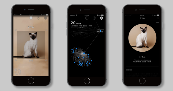 かざすai図鑑アプリ Linne Lens 世界の猫約90品種に対応し 認識対象も5 500種に拡大 Linne株式会社のプレスリリース