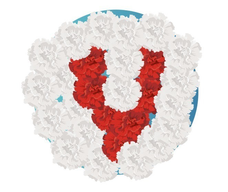 HANATABAのプレスリリース画像5