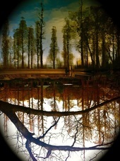 合同会社アースボイスプロジェクトのプレスリリース画像7