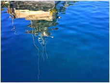 合同会社アースボイスプロジェクトのプレスリリース画像3