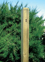 株式会社テレマークのプレスリリース画像2