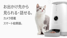 株式会社Glotureのプレスリリース画像2