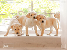 株式会社Glotureのプレスリリース画像4