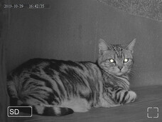 株式会社Glotureのプレスリリース画像5