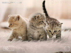 株式会社Glotureのプレスリリース画像3