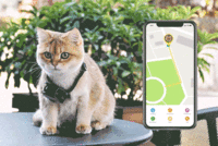 株式会社Glotureのプレスリリース画像5