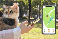 株式会社Glotureのプレスリリース画像8