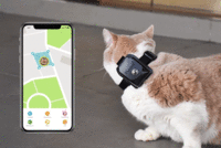 株式会社Glotureのプレスリリース画像7