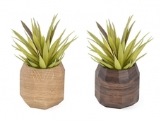 株式会社Glotureのプレスリリース画像6