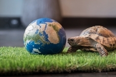 株式会社Glotureのプレスリリース画像1