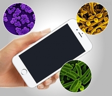 株式会社Glotureのプレスリリース画像2