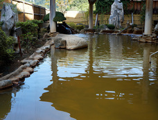 株式会社ライフシードのプレスリリース画像1