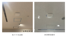 株式会社ライフシードのプレスリリース画像1