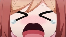 株式会社彗星社のプレスリリース画像2