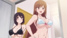 株式会社彗星社のプレスリリース画像4