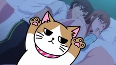 株式会社彗星社のプレスリリース画像5