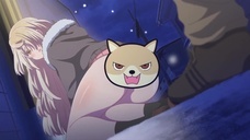 株式会社彗星社のプレスリリース画像1