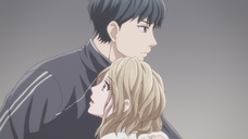 株式会社彗星社のプレスリリース画像5