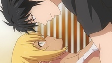 株式会社彗星社のプレスリリース画像4