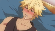 株式会社彗星社のプレスリリース画像4